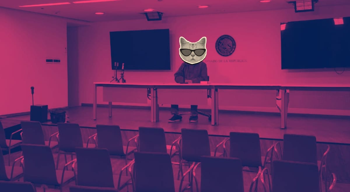 La pauta como derecho, no como "bozal"